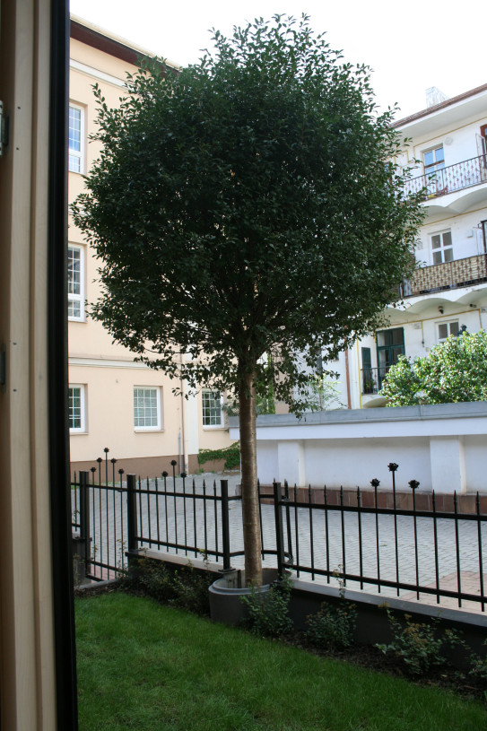 Pro Vaše pohodlí si lze pronajmout i parkovací místo